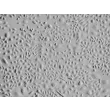 Human Conjunctival Epithelial Cells (HConEpiC) - Relief contrast, 100x.
