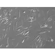 Relief contrast 100X