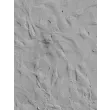 Human Ocular Choroid Fibroblasts (HOCF) - Relief contrast, 400x.
