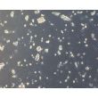 Human Pluripotent Stem Cell derived-Motor Neurons (HPSC-MN) - Phase Contrast 100X