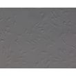 Human Pluripotent Stem Cell derived-Pericytes, Relief Contrast 200X