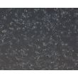 Human Pluripotent Stem Cell derived-Schwann Cells, Phase Contrast 100X