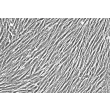 Human Villous Mesenchymal Fibroblasts (HVMF) - Phase contrast, 200x.
