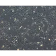Mouse Astrocytes-adult (MA-a) – Phase Contrast, 100x.
