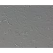Mouse Astrocytes-spinal cord (MA-sc) - Relief contrast, 200x.
