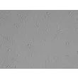 Mouse Embryonic Fibroblasts (MEF) - Relief Contrast, 200X.
