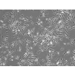Mouse Microglia (MM) – Phase Contrast, 100x.
