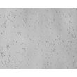 Mouse Neurons-forebrain (MN-fb)-Relief Contrast, 200X