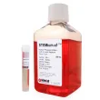 STEMium® Human Pluripotent Stem Cell Growth Medium - Xeno-Free (STEMium-XF)
