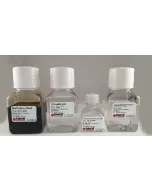 Alizarin Red S Staining Quantification Assay