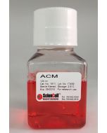 Astrocyte Conditioned Medium