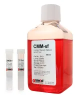 Cardiac Myocyte Medium-serum free