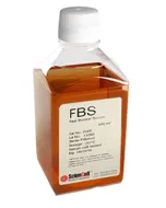 Fetal Bovine Serum, 500 ml
