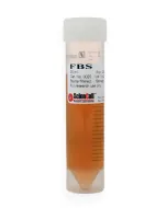 Fetal_Bovine_Serum 25 ml