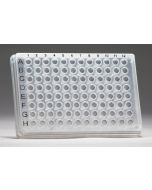 GeneQuery™ Human Cell  Cycle qPCR Array Kit