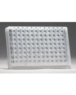 GeneQuery™ Human Cell  Cycle qPCR Array Kit