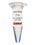 HDF-derived Human Induced Pluripotent Stem Cell Total RNA