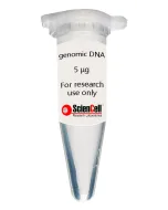 Human Cardiac Fibroblast genomic DNA