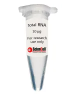 Human Cardiac Myocyte Total RNA