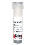 Human Cellular Fibronectin