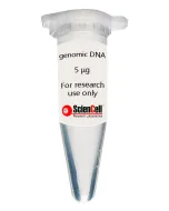 Human Hair Follicular Keratinocyte genomic DNA