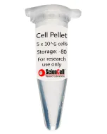 Human Hepatic Sinusoidal Endothelial Cell Pellet  
