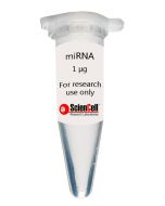 Human Hepatocyte MicroRNA