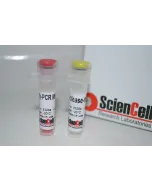 Human Mesenchymal Stem Cell Chondrogenesis Detection qPCR Kit