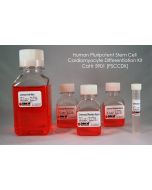  Human Pluripotent Stem Cell Cardiomyocyte Differentiation Kit, 50 ml