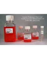  Human Pluripotent Stem Cell Cardiomyocyte Differentiation Kit, 50 ml