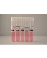 Human Pluripotent Stem Cell Cryopreservation Medium (5 x 10 ml)