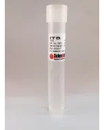 Insulin Transferrin Selenium, 10 ml