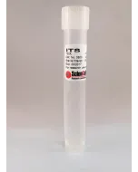 Insulin Transferrin Selenium (100X)