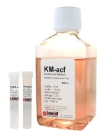 Keratinocyte Medium-animal component free