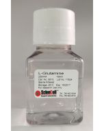 L-Glutamine Solution, 100 ml