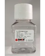 L-Glutamine_Solution