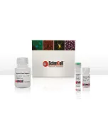 Malachite Green Phosphate Assay