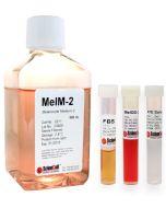 Melanocyte Medium-PMA free
