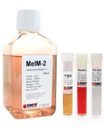 Melanocyte Medium-PMA free