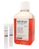 Mesenchymal Stem Cell Medium-animal component free