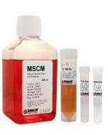 Mesenchymal Stem Cell Medium