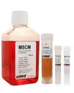 Mesenchymal Stem Cell Medium