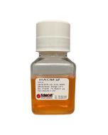 Mouse Astrocyte Conditioned Medium-Serum Free from CD-1