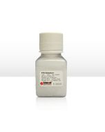 Penicillin/Steptomycin Solution, 100 ml