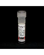 Poly-L-Lysine (PLL), 1mg/ml