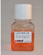 Rat Astrocyte Conditioned Medium-Serum Free 