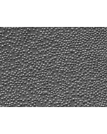 Rat Lymphatic Mononuclear Cells (RLMC) – Relief contrast, 400x
