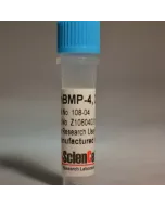 Recombinant Human Bone Morphogenetic Protein-4