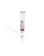 Recombinant Human Epidermal Growth Factor