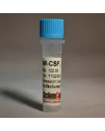  Recombinant Human Macrophage Colony Stimulating Factor